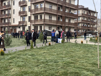 Böyük Qayıdış